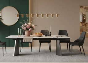 Nowoczesny stół rozkładany Nexus o wymiarach 200(280)×90 cm zachwyca eleganckim blatem z masy ceramicznej i solidną podstawą ze stali szczotkowanej. Styl, trwałość i funkcjonalność w jednym – idealny do jadalni i salonu.