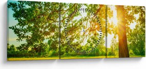 Obraz - Słoneczny Las (z zegarem) (90x30 cm)