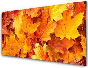 Szkło do Kuchni na Ścianę Organiczny Motyw Roślinny