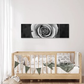 Obraz róży (170x50 cm)