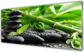 Szkło do Kuchni na Ścianę Zielona Świeżość Bambusa