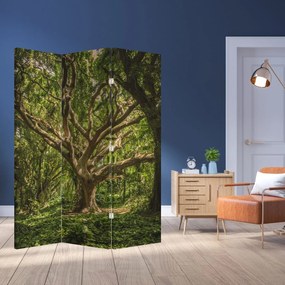 Parawan - Drzewo (126x170 cm)