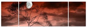 Obraz - Księżyc oświetlający noc (170x50 cm)