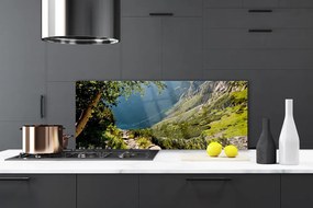 Panel Szklany Dzika Natura W Górach