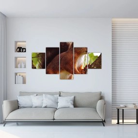 Obraz wiewiórki (125x70 cm)
