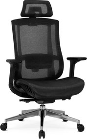 Fotel Biurowy Ergonomiczny Obrotowy DYLAN Czarny