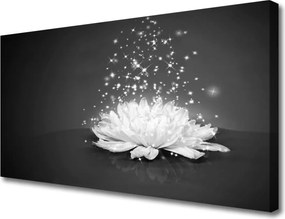 Obraz na płótnie Piękno Polnego Kwiatu