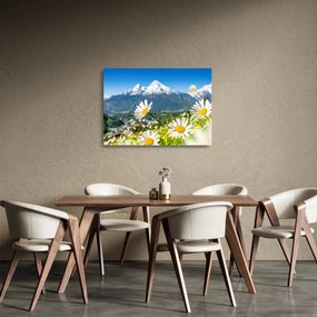 Obraz na szkle - Wiosna w Alpach (70x50 cm)