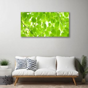Obraz drukowany na płótnie Organiczne Formy Liści