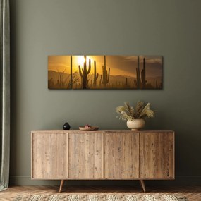 Obraz - Kaktusy Saguaro (170x50 cm)