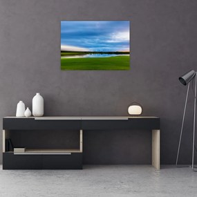 Obraz łąki (70x50 cm)