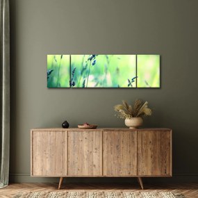 Obraz - Szczegół łąki (170x50 cm)