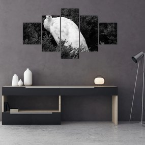 Obraz - Paw, czarno - biały (125x70 cm)