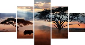 Obraz - Park Narodowy Serengeti, Tanzania, Afryka (125x70 cm)