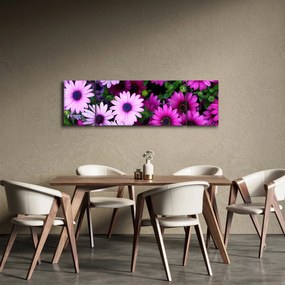 Obraz - Kwiaty (170x50 cm)