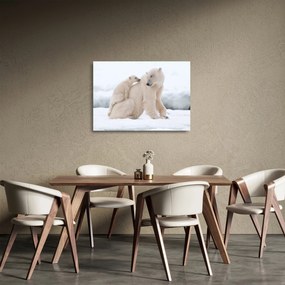 Obraz na szkle - Niedźwiedzie polarne (70x50 cm)