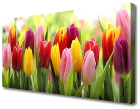 Obraz Canvas Tulipany Kwiaty Natura