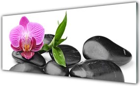 Szkło do Kuchni na Ścianę Wyciszenie Zen: Kwiat i Kamień