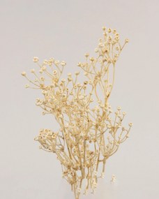 Gałązka Frostbloom ecru 80 cm