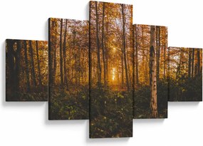 Obraz jesiennego lasu (125x70 cm)