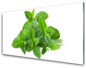 Panel Szklany Mięta Roślina Natura
