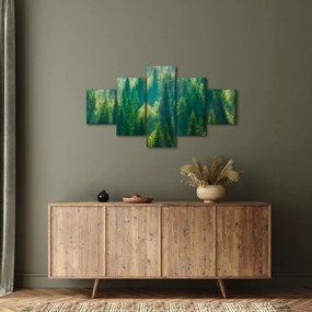 Obraz - Las sosnowy (125x70 cm)