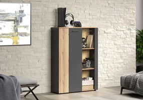 Niska witryna nowoczesna do salonu z lamelami grafit + dąb evok A2-D81