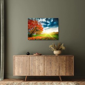 Obraz na szkle skąpanego w słońcu krajobrazu (70x50 cm)