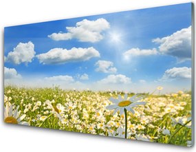 Panel Szklany Białe Stokrotki w Zieleni