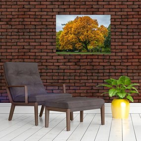 Obraz drzewa (70x50 cm)