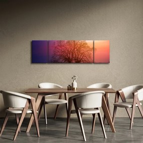 Obraz drzew we mgle (170x50 cm)