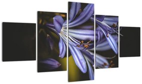 Obraz - Lilia (125x70 cm)