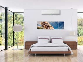 Obraz sowy (170x50 cm)