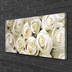 Obraz Canvas Róże Kwiaty Roślina