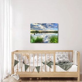 Obraz jeziora z trzcinami (70x50 cm)