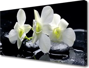 Obraz na płótnie Szlachetny Biały Storczyk