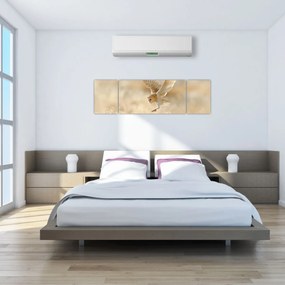 Obraz - Sowa (170x50 cm)