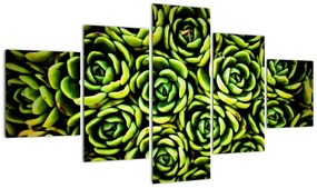 Obraz bez grzywki (125x70 cm)