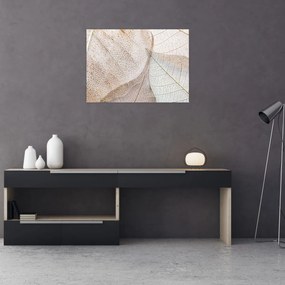Obraz - Beżowe liście (70x50 cm)