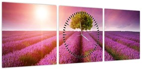 Obraz pola z lawendą (z zegarem) (90x30 cm)
