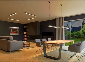 Srebrny podłużny plafon z modułem LED 4000 K - EX626 R9-W05