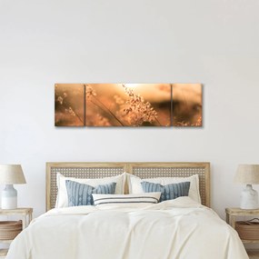 Obraz - Trawa  na słońcu (170x50 cm)