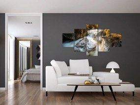 Obraz - Strumień leśny (125x70 cm)