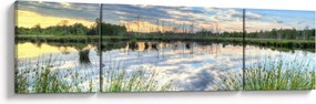 Obraz jeziora z trzcinami (170x50 cm)