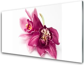 Panel nad blat kuchenny Wykwintny Ogród Botaniczny