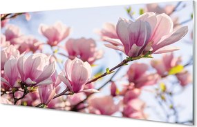 Panel nad Blat Kuchenny Płatki Magnolii