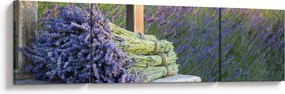 Obraz - Pęczki lawendy (170x50 cm)
