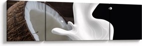 Obraz - mleko kokosowe (170x50 cm)