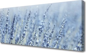 Obraz canvas Złote Kłosy na Łące