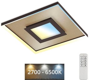 Briloner 3641-017 - Lampa ściemnialna LED FRAME LED/30W/230V 2700-6500K + pilot